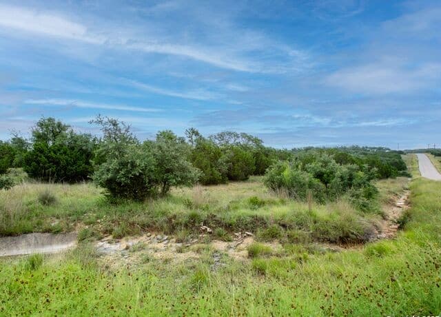 rental at 206 Vista View Place in Spring Branch, TX — photo 5