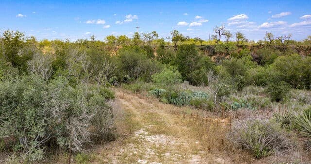 rental at 613 County Road 441 in Hondo, TX — photo 4