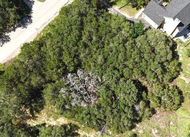 rental at 815 Winding River in Spring Branch, TX — photo 1