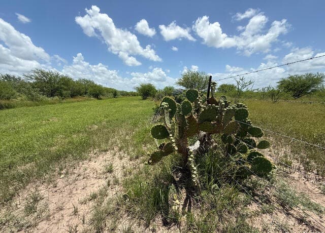 rental at TBD 10+/- ACRES Cr 158 in Kenedy, TX — photo 2