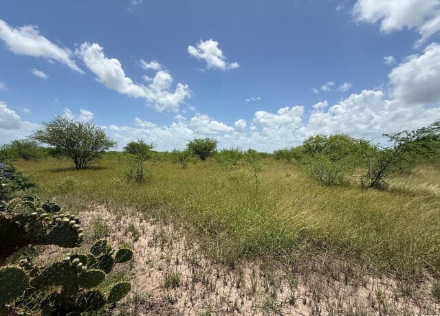 rental at TBD 10+/- ACRES Cr 158 in Kenedy, TX — photo 5