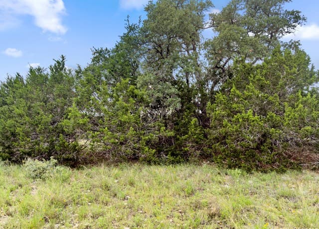 rental at 141 Vista View Place in Spring Branch, TX — photo 1