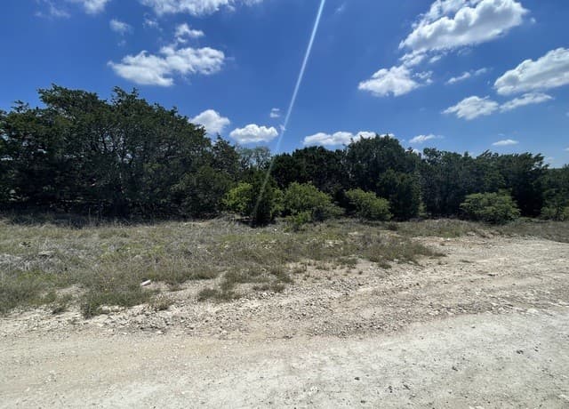 rental at 457 Thoroughbred in Spring Branch, TX — photo 4