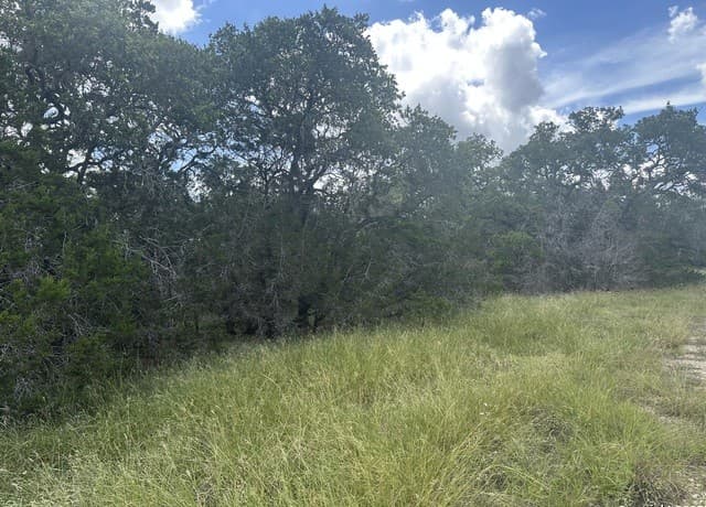 rental at 275 Serenity Pass in Spring Branch, TX — photo 3