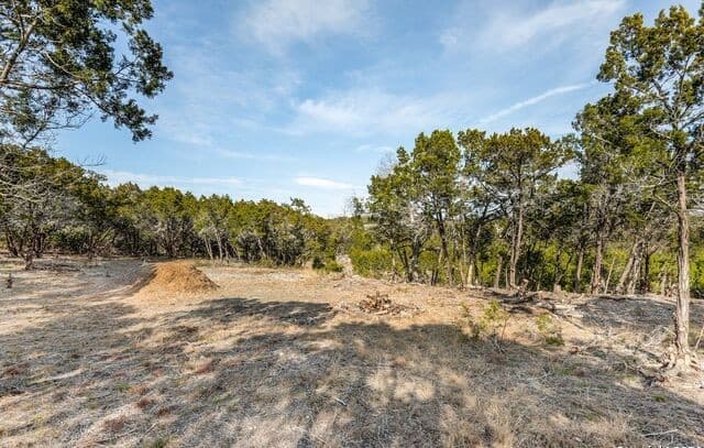 rental at 807 Stagecoach in Spring Branch, TX — photo 5