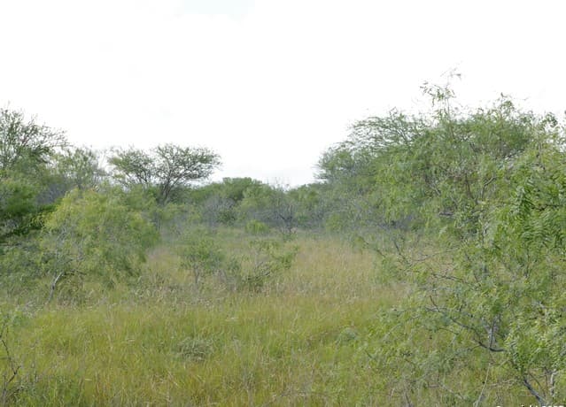 rental at TRACT 2 County Rd 207 in Hobson, TX — photo 4