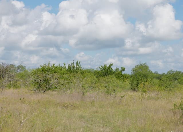 rental at TRACT 5 County Rd 208 in Hobson, TX — photo 2