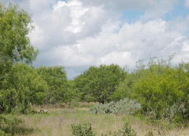 rental at TRACT 5 County Rd 208 in Hobson, TX — photo 5