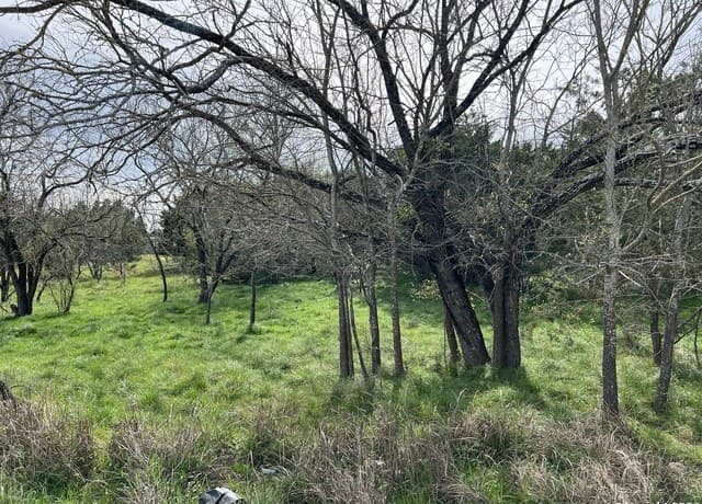 rental at LOT 78 Lake Medina Shores in Bandera, TX — photo 4