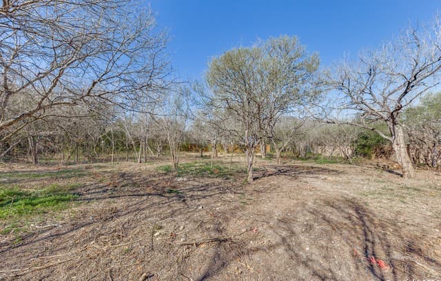 rental at 614 Terrell in Terrell Hills, TX — photo 4