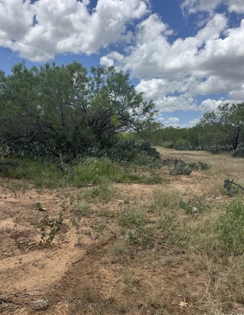 rental at 02 Windmill Ranchettes CR 329 in Jourdanton, TX — photo 3