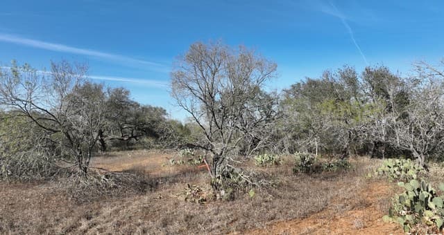 rental at 10 Windmill Ranchettes CR 329 in Jourdanton, TX — photo 4