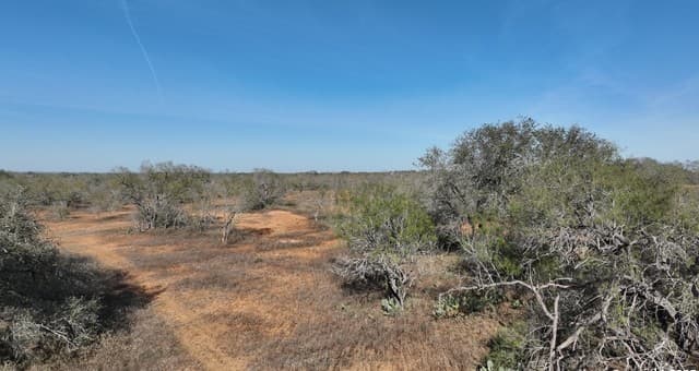 rental at 10 Windmill Ranchettes CR 329 in Jourdanton, TX — photo 5