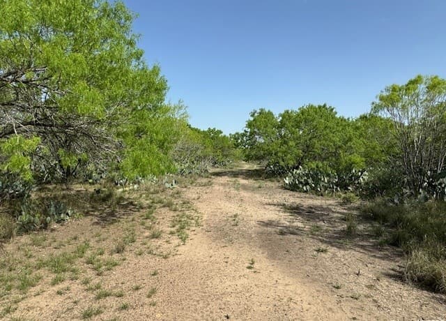 rental at 23 Windmill Ranchettes CR 329 in Jourdanton, TX — photo 1