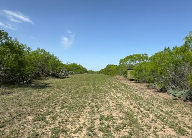 rental at 24 Windmill Ranchettes CR 329 in Jourdanton, TX — photo 2