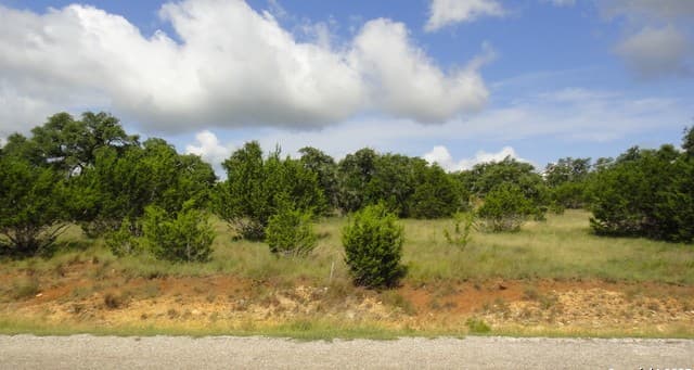 rental at 116 Peter Kleid Lp in Blanco, TX — photo 5