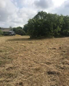 rental at 2220 Calle Estrella in San Antonio, TX — photo 3