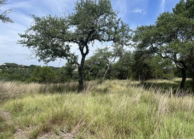 rental at 137 Hill Myna in Spring Branch, TX — photo 1