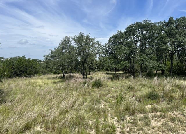 rental at 137 Hill Myna in Spring Branch, TX — photo 3
