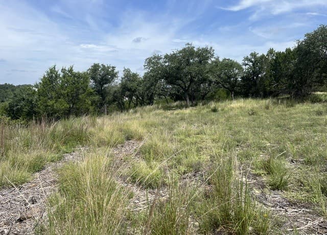 rental at 137 Hill Myna in Spring Branch, TX — photo 4
