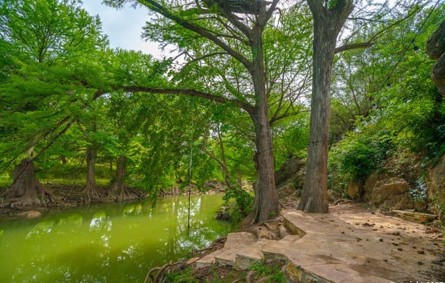 Home for sale at 103 Misty Waters in Boerne, TX — photo 4