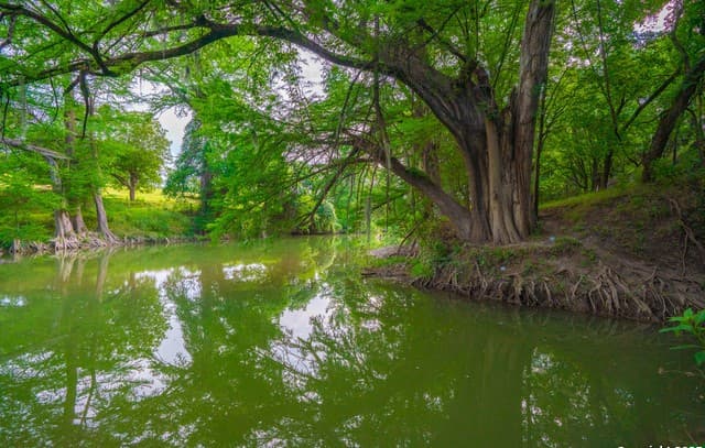 Home for sale at 103 Misty Waters in Boerne, TX — photo 5