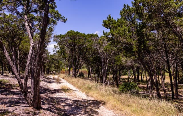 rental at TBD Pr 177 in Helotes, TX — photo 1
