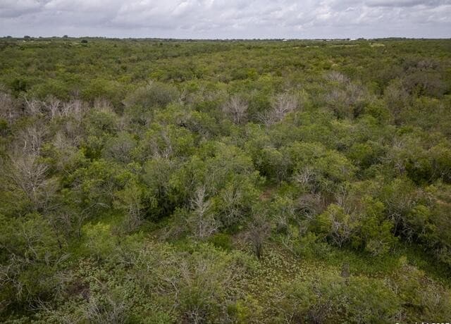 rental at 558 Ramos Ln in Floresville, TX — photo 4