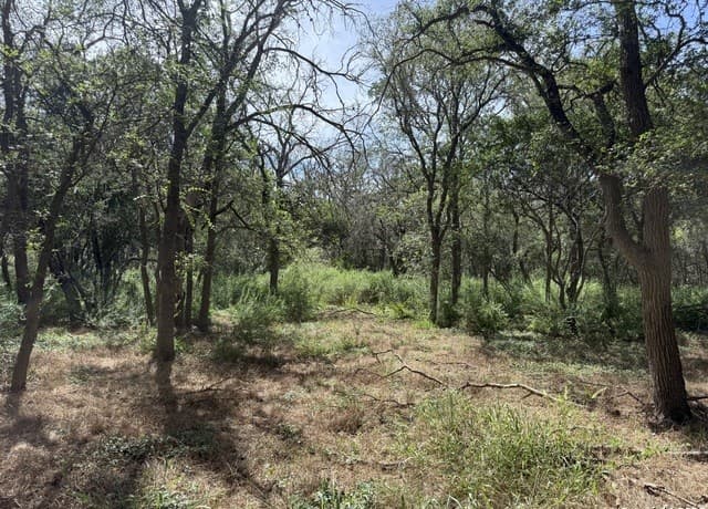 rental at 8403 Wild Wind Park in Garden Ridge, TX — photo 5