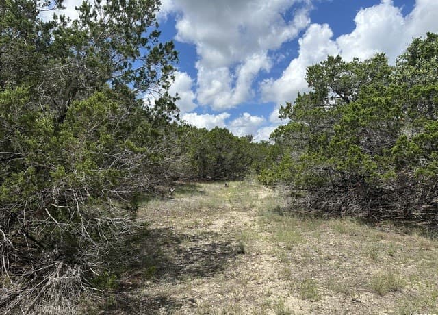 rental at 7131 Rebecca Creek in Spring Branch, TX — photo 2