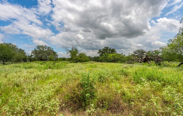 rental at 330 S Encino Crossing in Natalia, TX — photo 1