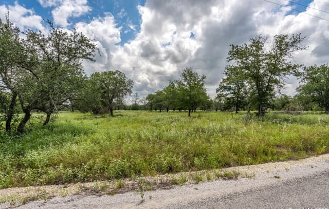 rental at 330 S Encino Crossing in Natalia, TX — photo 3