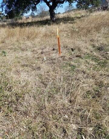 rental at LOT 102 PR 3702 Pr 3702 in San Antonio, TX — photo 5
