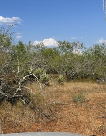 rental at 5986 Fm 1107 Unit B in Stockdale, TX — photo 3