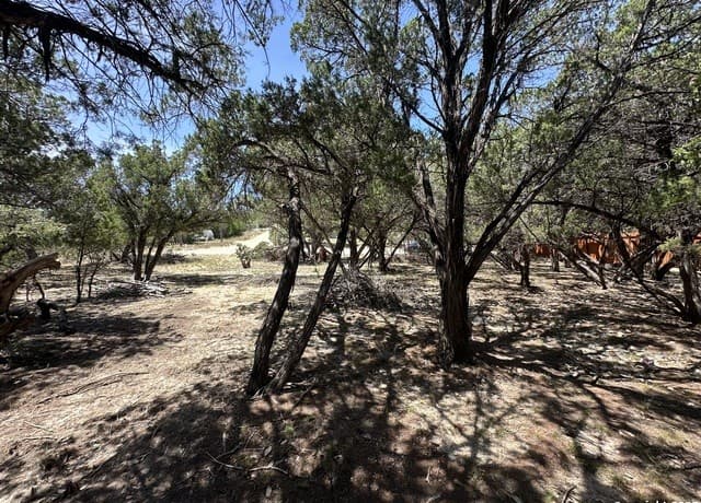 Home for sale at LOTS 395 & 396 North Trl in Bandera, TX — photo 2