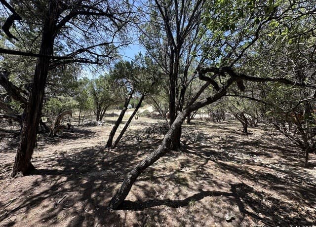 Home for sale at LOTS 395 & 396 North Trl in Bandera, TX — photo 3