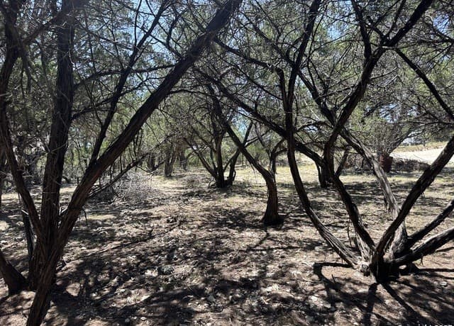 Home for sale at LOTS 395 & 396 North Trl in Bandera, TX — photo 5