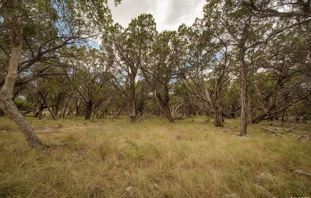 Home for sale at TBD English Crossing in Bandera, TX — photo 4