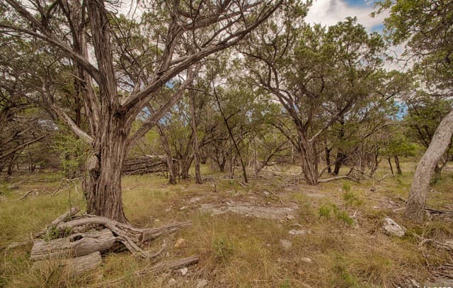 Home for sale at TBD English Crossing in Bandera, TX — photo 5