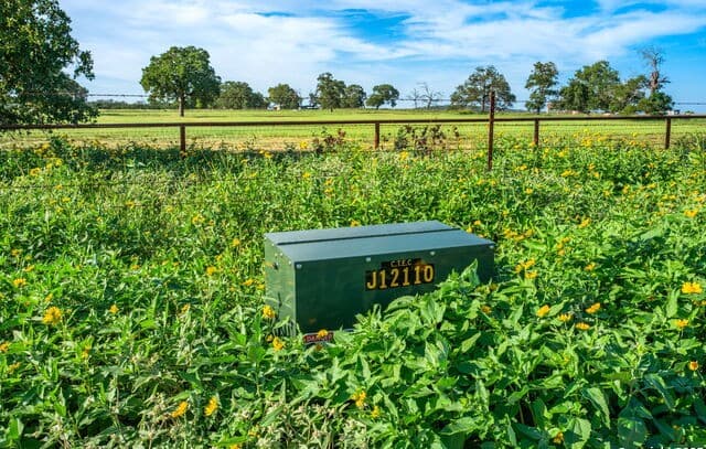 rental at 449 Luke Hayes Way in Fredericksburg, TX — photo 4