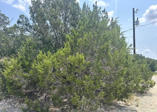 rental at 16 Contour Dr in Spring Branch, TX — photo 3