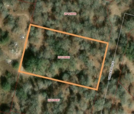 rental at 213 Timber Place in La Vernia, TX — photo 1