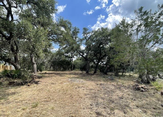 rental at 161 Sunnyside in Spring Branch, TX — photo 1
