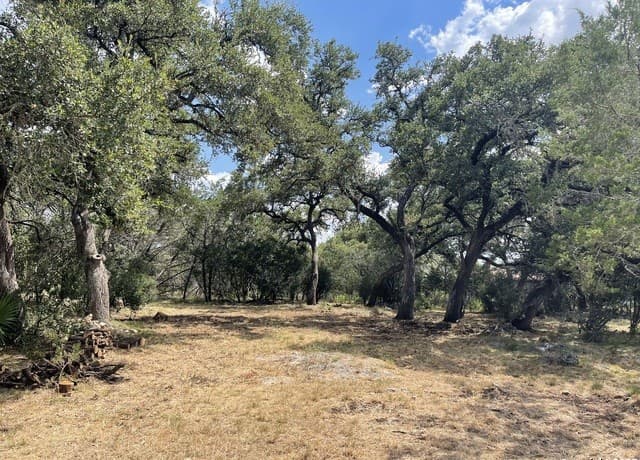 rental at 161 Sunnyside in Spring Branch, TX — photo 2