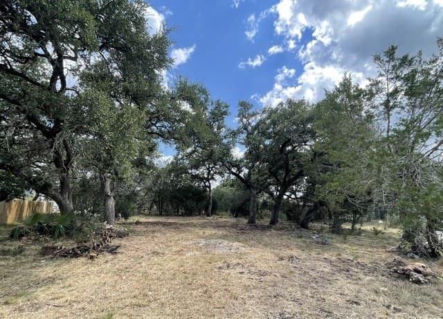 rental at 161 Sunnyside in Spring Branch, TX — photo 3