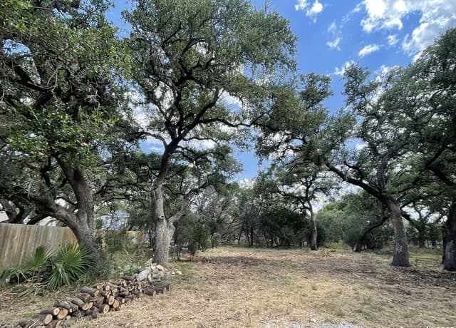 rental at 161 Sunnyside in Spring Branch, TX — photo 4