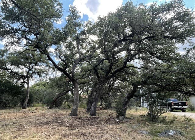 rental at 161 Sunnyside in Spring Branch, TX — photo 5