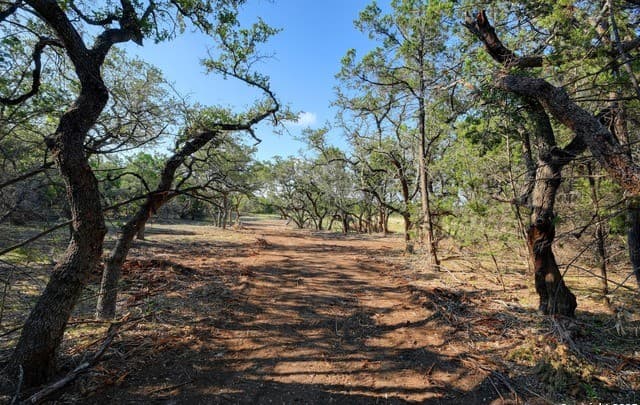 rental at TRACT 1 Pierson Road in Blanco, TX — photo 1