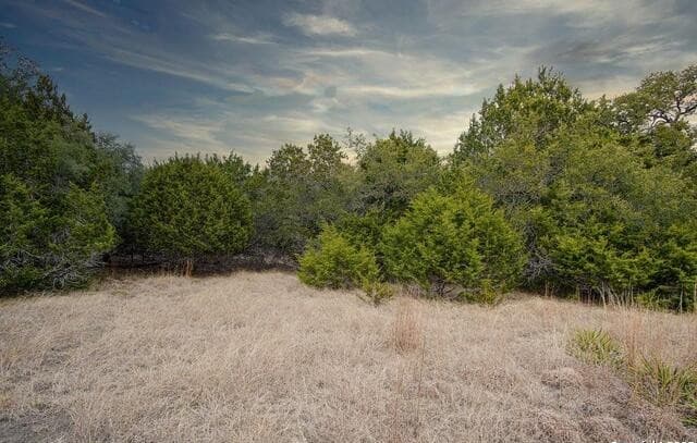 rental at 1055 Cielo Springs Dr. in Blanco, TX — photo 1