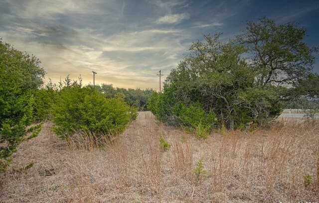 rental at 1055 Cielo Springs Dr. in Blanco, TX — photo 2